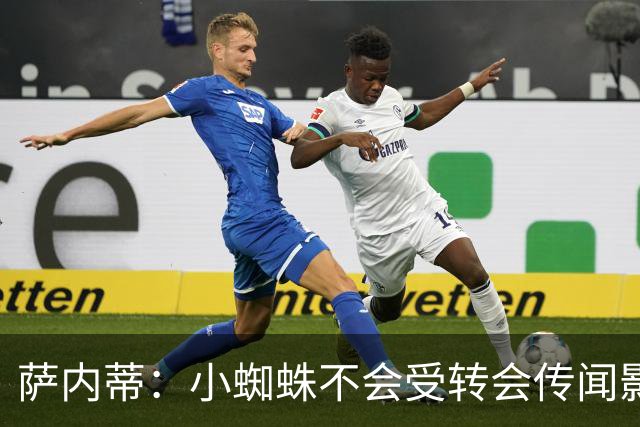萨内蒂：小蜘蛛不会受转会传闻影响 帕斯可能成为阿根廷关键球员